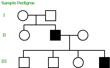 Pedigree analysis